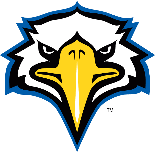 Morehead State Eagles 2005-Pres Secondary Logo v2 iron on transfers for clothing